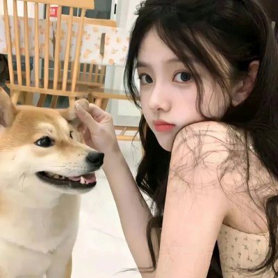 消失的皮箱
