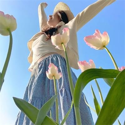 轩辕剑 苍之曜